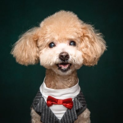 ctffranky's profile picture. 