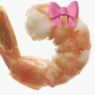 Shrimpgummys's profile picture. Restarting from scratch 

CutieGummy 2021-2024🪦