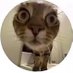 kfg (@kapaazzs) Twitter profile photo kfg (@kapaazzs) Twitter profile photo