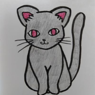 猫好き🐾ついつい野良猫を探してしまいます😆
2020年10月19日に猫の清光(4ヶ月ぐらい)が家族になりました😼
🐾猫の清光🐾
臆病だけどヤンチャ者😺