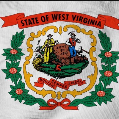 redherronwv's profile picture. MAGA/MAHA/AMERICAN/82nd ABN/AIRCAV/WV/I pay the bills fixing flying engines/I can watch chickens peck for hours