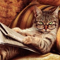 糖 (@ruru824) Twitter profile photo