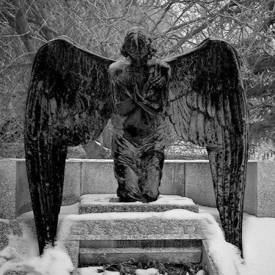 MikeySqua's profile picture. In a World gone mad, Stay Human...