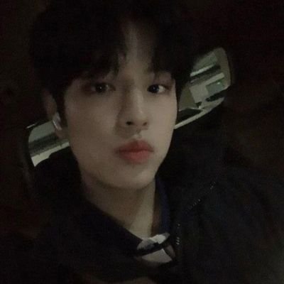 straywolfchan Profile Picture