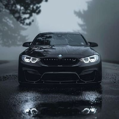 kojocyril95's profile picture. Joseph
JoSephine