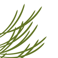 Santa Fe Community Foundation (@santafecommfund) 's Twitter Profile