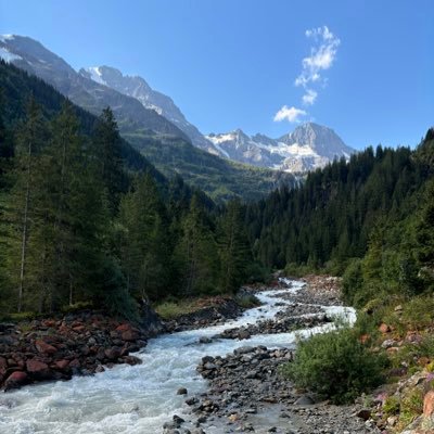 buurechrieger's profile picture. 