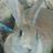 csk_o's profile image
