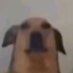 Vatos out of context (@vatosooc) Twitter profile photo Vatos out of context (@vatosooc) Twitter profile photo
