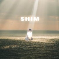 him (@himcoinsolana) 's Twitter Profile Photo