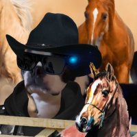 W.i.L.L.i.A.m (@bigwillyx0x0) 's Twitter Profile