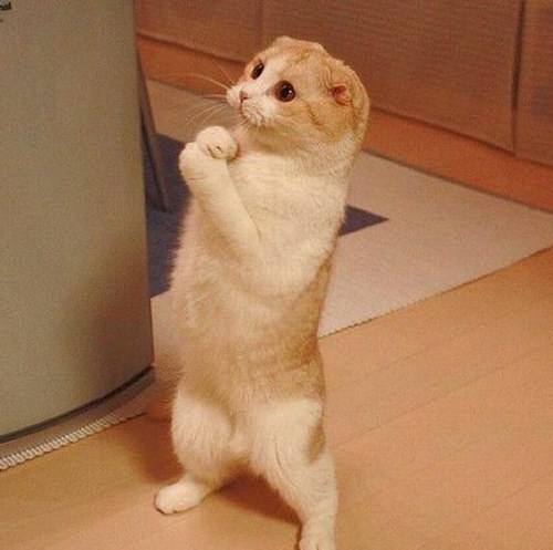 sollmo's profile picture. D: