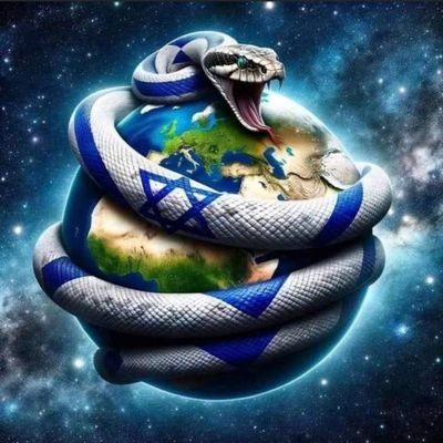 StephenGorman17's profile picture. 