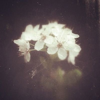 amazora0's profile picture. 𝘼𝙩 𝙡𝙚𝙖𝙨𝙩 𝙬𝙚 𝙖𝙧𝙚 𝙪𝙣𝙙𝙚𝙧 𝙩𝙝𝙚 𝙨𝙖𝙢𝙚 𝙨𝙠𝙮♡.