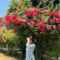 Ruhan Rajpoot (@rajpootruh11485) 's Twitter Profile