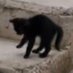 nur (@nnuroguuz) Twitter profile photo nur (@nnuroguuz) Twitter profile photo