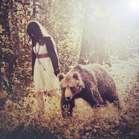 team bear 🐻 (@woman0fwise) 's Twitter Profile Photo