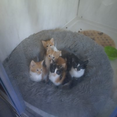 KennyMatth87553's profile picture. 