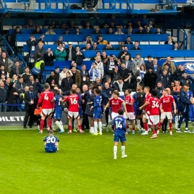 KMariana41288's profile picture. Chelsea true and thick 🥶💙