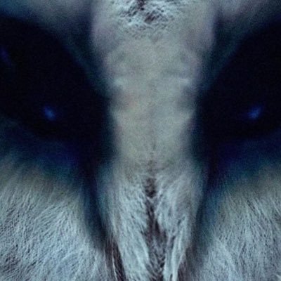 realAndrew619's profile picture. 