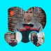 Mishler Arden (@ardenmishl38042) Twitter profile photo Mishler Arden (@ardenmishl38042) Twitter profile photo