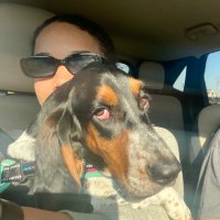 ❄️Abominable Snowflake❄️ (she/her) (@breezyy182) 's Twitter Profile Photo ❄️Abominable Snowflake❄️ (she/her) (@breezyy182) 's Twitter Profile Photo