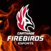 Carthage Firebirds Esports (@carthageesports) Twitter profile photo Carthage Firebirds Esports (@carthageesports) Twitter profile photo