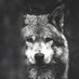 Mom’m 🦾 (@eeoomt) Twitter profile photo Mom’m 🦾 (@eeoomt) Twitter profile photo