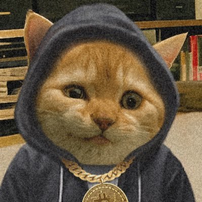Degen💰| MemeHunter👾 | StayPositive ⚡️ Join me on https://t.co/omwSqeicKc