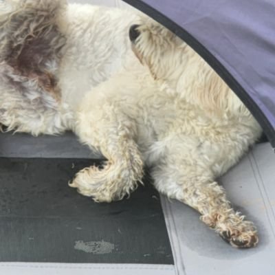 leefg911's profile picture. 