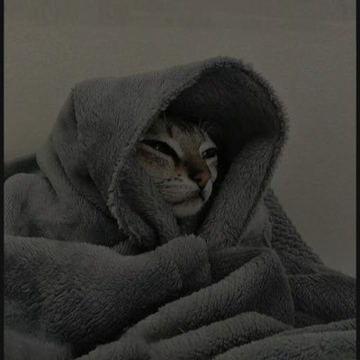 Thesysttt's profile picture. 