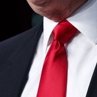 Trump's Tie (@freestackwriter) 's Twitter Profile