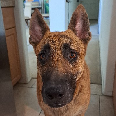 jdub_goat's profile picture. 🏀