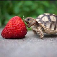 Marwa (@marwafathi332) 's Twitter Profile