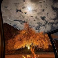 سحابة||🌨 (@sahabh3355) 's Twitter Profile