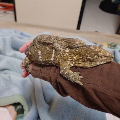 nuxm5GjxDPukjVR's profile picture. (๑•̀ㅂ•́)و✧