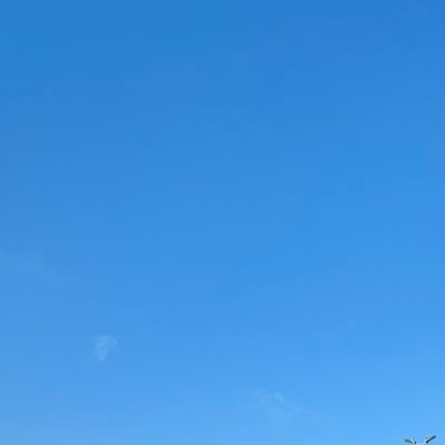 ahmed_sara50154's profile picture. 