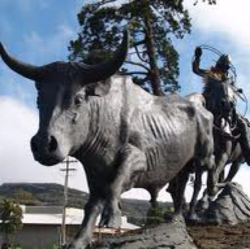 PanioloTex's profile picture. Take a look at Wall Street and Main Street the Cowboy way.