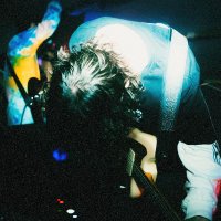 Hause Plants (@hauseplants) 's Twitter Profile