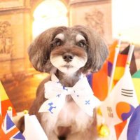 💙あきまろ🩵↗️ (@akiruka0119) 's Twitter Profile