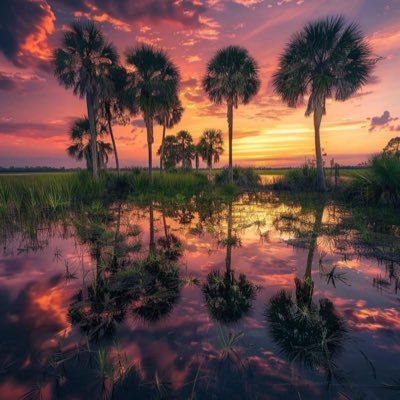 SoulfulHealer's profile picture. RN passionate about healing and Making America Healthy Again 🩺💪. Proud MAGA supporter 🇺🇸. Gardener 🌱. Tropical fruit grower 🍍. Love dogs 🐶 and horses 🐎.