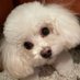 죠 (@_poreo) Twitter profile photo 죠 (@_poreo) Twitter profile photo