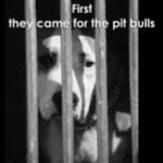 57 yrs. (Until Oct. 9) older than birth. Leader of a pack of 4...