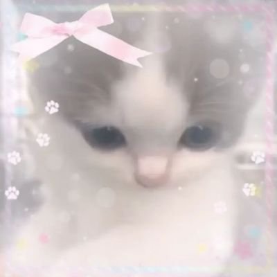 gyyyo0's profile picture. 