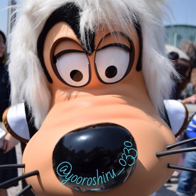 ヨーロシルさんのプロフィール画像