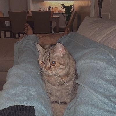 A'TINDO 🇮🇩 for @SB19Official | Tey-amo @stellajero_ 🍓💫 | mik🐾 | SV²⁷⁶ ✈️ | myu¹ 🎧