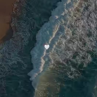 gayic79's profile picture. 