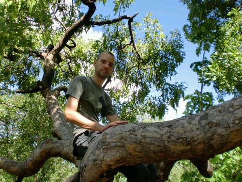 Mausch_K's profile picture. Senior Economist @CIFOR_ICRAF Bonn & Nairobi

Views are my own.