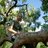 Mausch_K's profile image