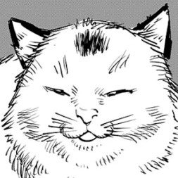 ayaneuu1's profile picture. 